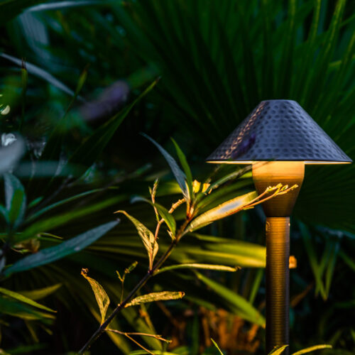 CS_PIGEON_KEY_2022-138