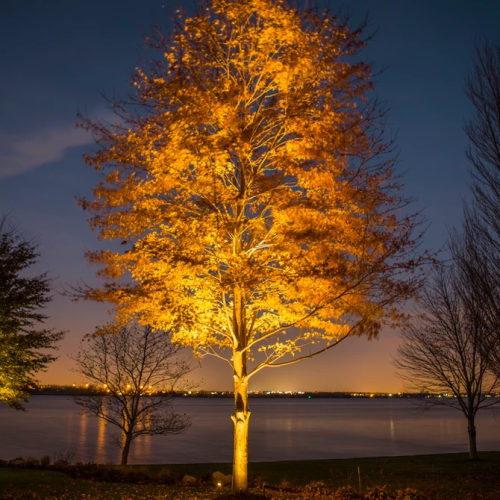 Coastal-Source_Products-Lighting_Uplight-3