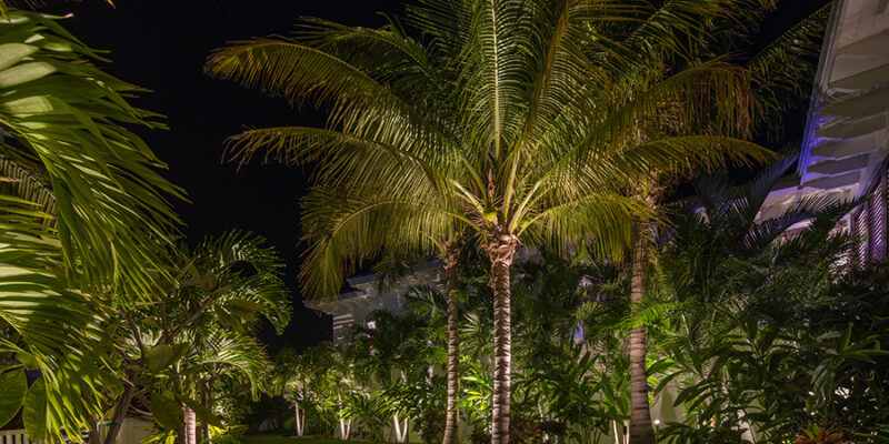 Jasmine-House_Landscape-Night_H_3